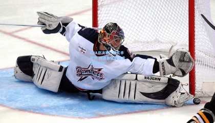 CBA总决赛门票炙手可热 球迷各显神通求票引热议